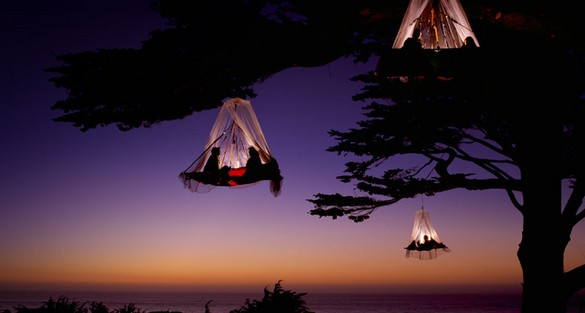 Tree camping in Germany.